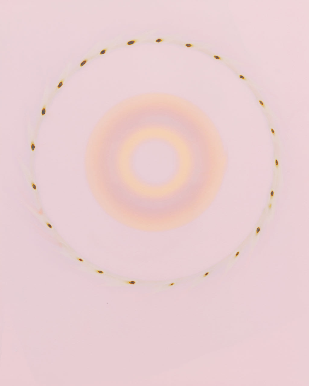Kami 3