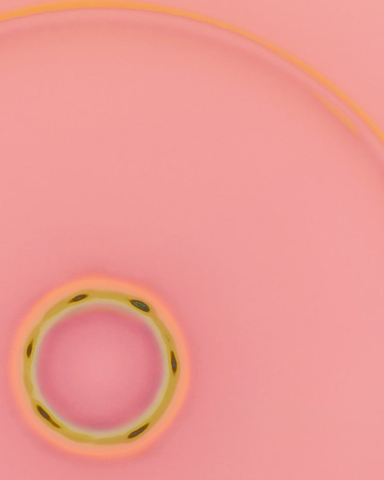 Kami 1